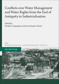 bokomslag Conflicts over Water Management and Water Rights from the End of Antiquity to Industrialisation
