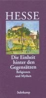 bokomslag 'Die Einheit hinter den Gegensätzen'