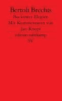 Brechts Bukower Elegien