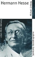 bokomslag Hermann Hesse
