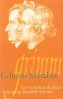 bokomslag Grimms Märchen