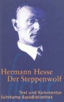 bokomslag Der Steppenwolf