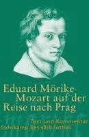 bokomslag Mozart auf der Reise nach Prag