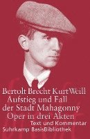 bokomslag Aufstieg und Fall der Stadt Mahagonny