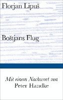 Bostjans Flug 1