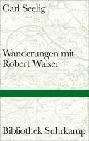 bokomslag Wanderungen mit Robert Walser