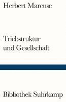 bokomslag Triebstruktur und Gesellschaft