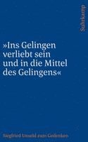 bokomslag 'Ins Gelingen verliebt sein und in die Mittel des Gelingens'