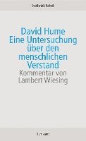 bokomslag Eine Untersuchung über den menschlichen Verstand