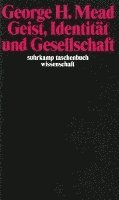 bokomslag Geist, Identität und Gesellschaft