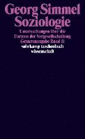 Soziologie - Untersuchungen über die Formen der Vergesellschaftung