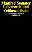 Manfred Sommer - Lebenswelt und Zeitbewußtsein, Häftad