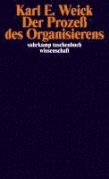 Der Prozeß des Organisierens