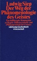 bokomslag Der Weg der ' Phänomenologie des Geistes'