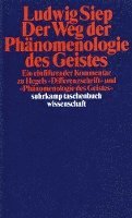 Der Weg der ' Phänomenologie des Geistes'