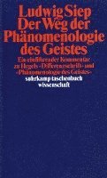 Der Weg der ' Phänomenologie des Geistes' 1