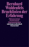 bokomslag Bruchlinien der Erfahrung