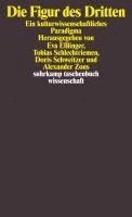 Eva Esslinger, Tobias Schlechtriemen, Doris Schweitzer, Alexander Zons - Die Figur des Dritten, Häftad