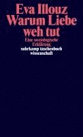 Eva Illouz - Warum Liebe weh tut, Häftad