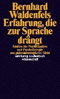 Bernhard Waldenfels - Erfahrung, die zur Sprache drängt, Häftad