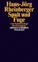 bokomslag Spalt und Fuge