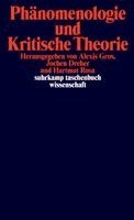 Alexis Gros, Jochen Dreher, Hartmut Rosa - Phänomenologie und Kritische Theorie, Häftad