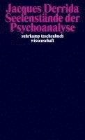 bokomslag Seelenstände der Psychoanalyse
