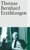 bokomslag Erzählungen