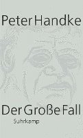 bokomslag Der Große Fall