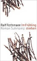 bokomslag Im Frühling sterben