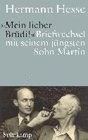 Hermann Hesse, Gunnar Decker - 'Mein lieber Brüdi!', Inbunden
