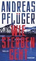 Andreas Pflüger - Wie Sterben geht, Inbunden