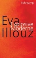 bokomslag Explosive Moderne