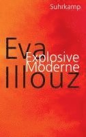 bokomslag Explosive Moderne