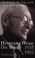 Hermann Hesse, Volker Michels - 'Noch lacht der Tag, noch ist er nicht zu Ende', Inbunden
