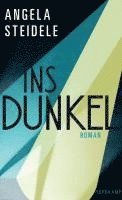 bokomslag Ins Dunkel