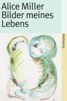 bokomslag Bilder meines Lebens