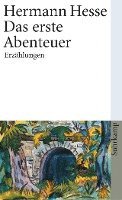bokomslag Das erste Abenteuer