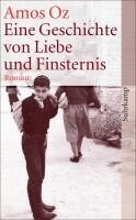 Amos Oz - Eine Geschichte von Liebe und Finsternis, Häftad