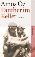 bokomslag Panther im Keller