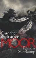 Gunther Geltinger - Moor, Häftad