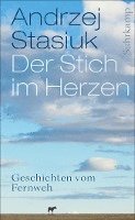 bokomslag Der Stich im Herzen