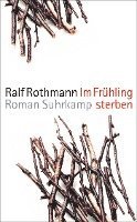 bokomslag Im Frühling sterben