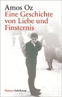 bokomslag Eine Geschichte von Liebe und Finsternis