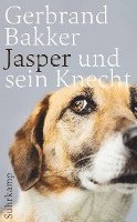 bokomslag Jasper und sein Knecht