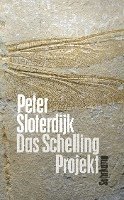 bokomslag Das Schelling-Projekt