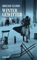 Angelika Felenda - Wintergewitter, Häftad