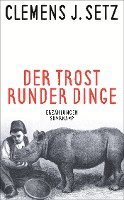 bokomslag Der Trost runder Dinge