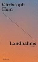 Landnahme 1