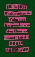 bokomslag Wo der spitzeste Zahn der Karawanken in den Himmel hinauf fletscht